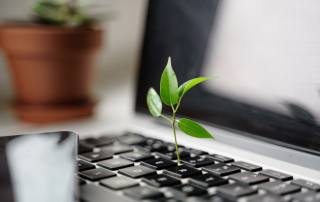 Pflanze, die aus einer Tastatur wächst, Zeichen für Nachhaltigkeit