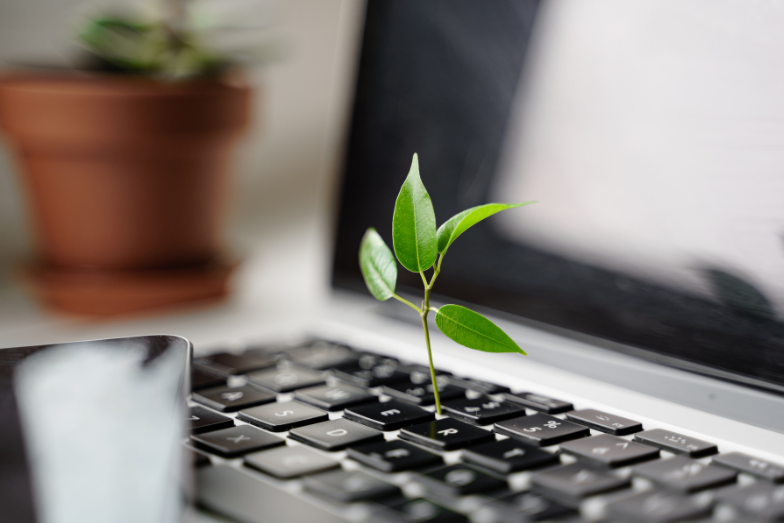 Pflanze, die aus einer Tastatur wächst, Zeichen für Nachhaltigkeit