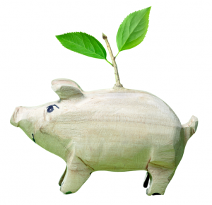 Schwein, aus dem ein grüner Ast wächst, nachhaltiges Geld